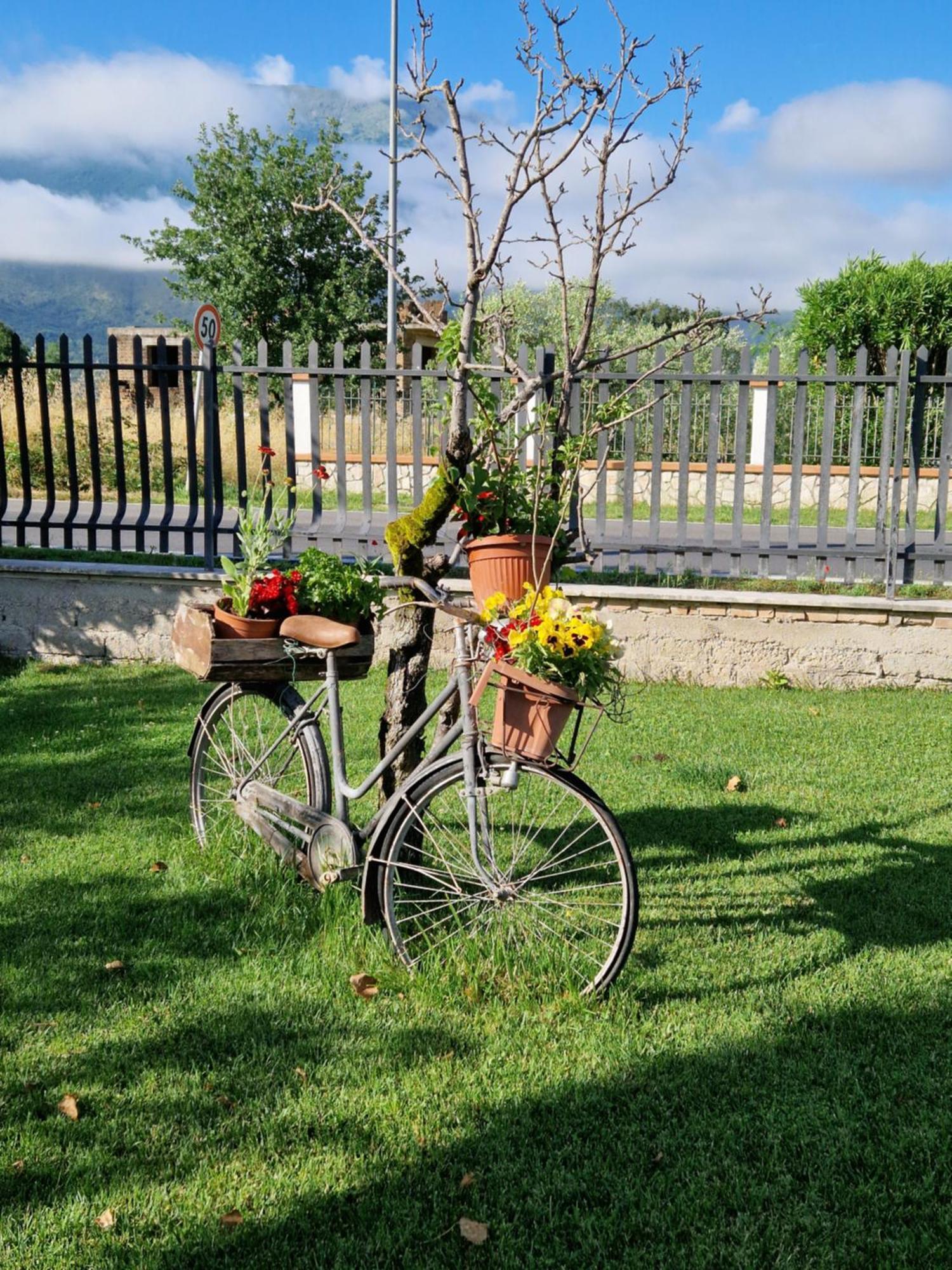 Relax In Campagna - Aquino Exterior foto